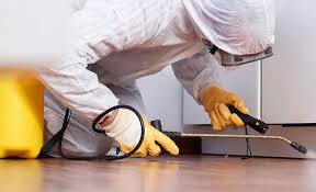 Trusted Gulfport, FL Pest Control Experts